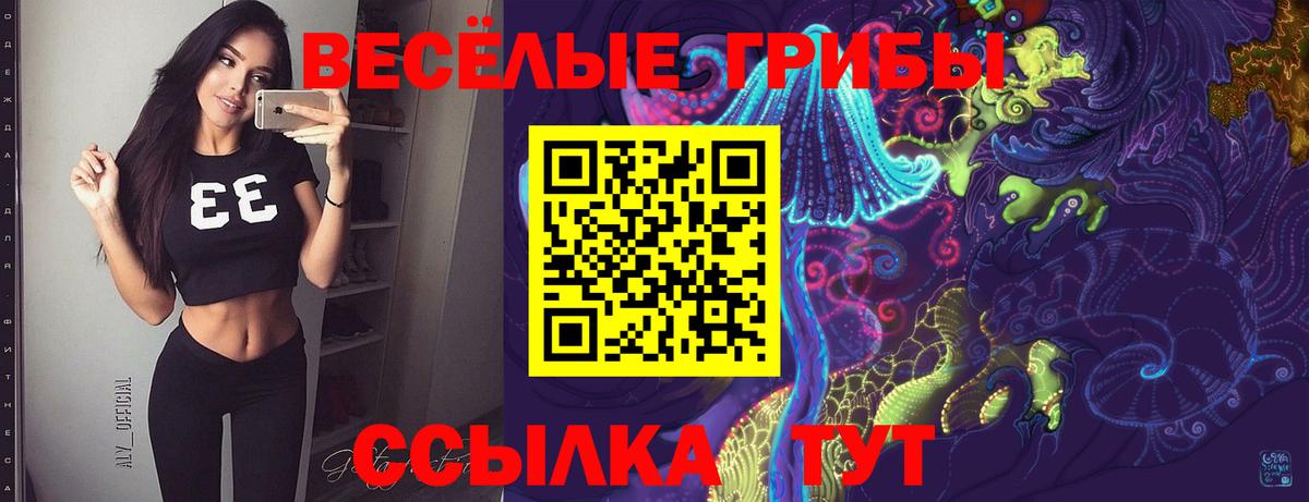 Галлюциногенные грибы GOLDEN TEACHER Вышний Волочёк