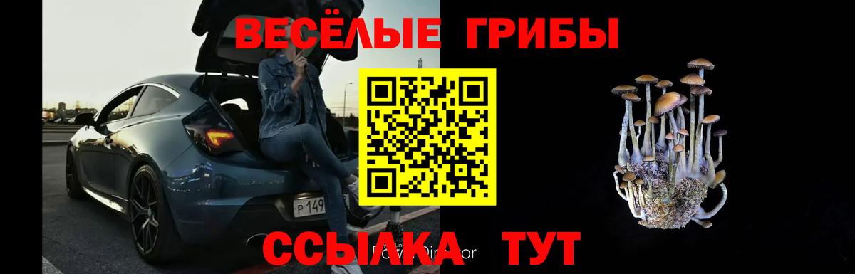 Псилоцибиновые грибы ЛСД  Вход с VPN  Вышний Волочёк 